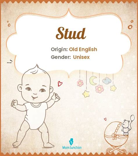 stud meaning gay|Stud – The Trans Language Primer